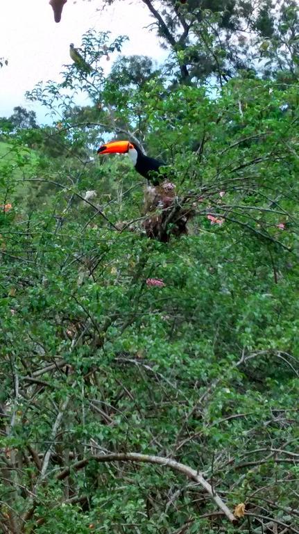 Pousada Do Mendonca Juiz de Fora Exteriér fotografie