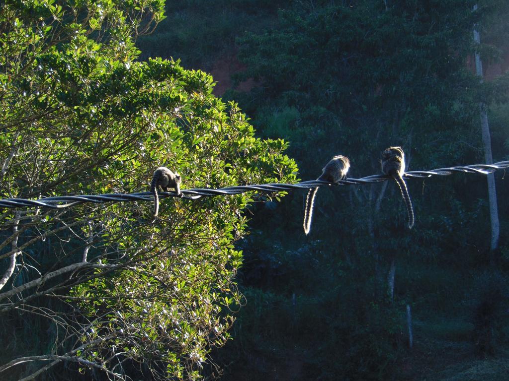 Pousada Do Mendonca Juiz de Fora Exteriér fotografie